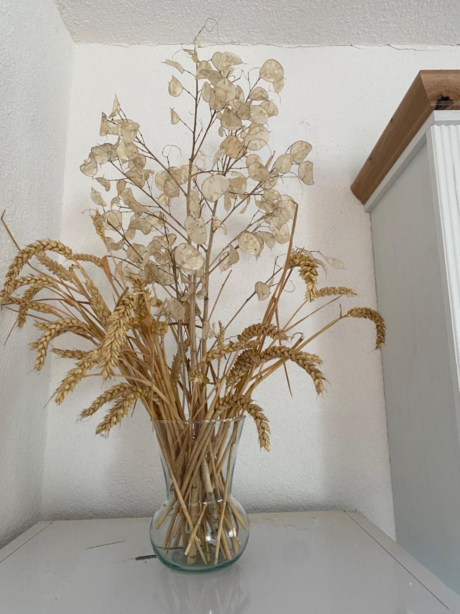 Apartman Kremen Kuterevo Kültér fotó